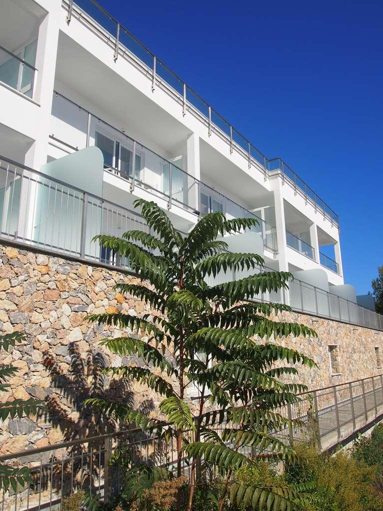 Best Western Hotel Acqua Novella Spotorno Exterior photo